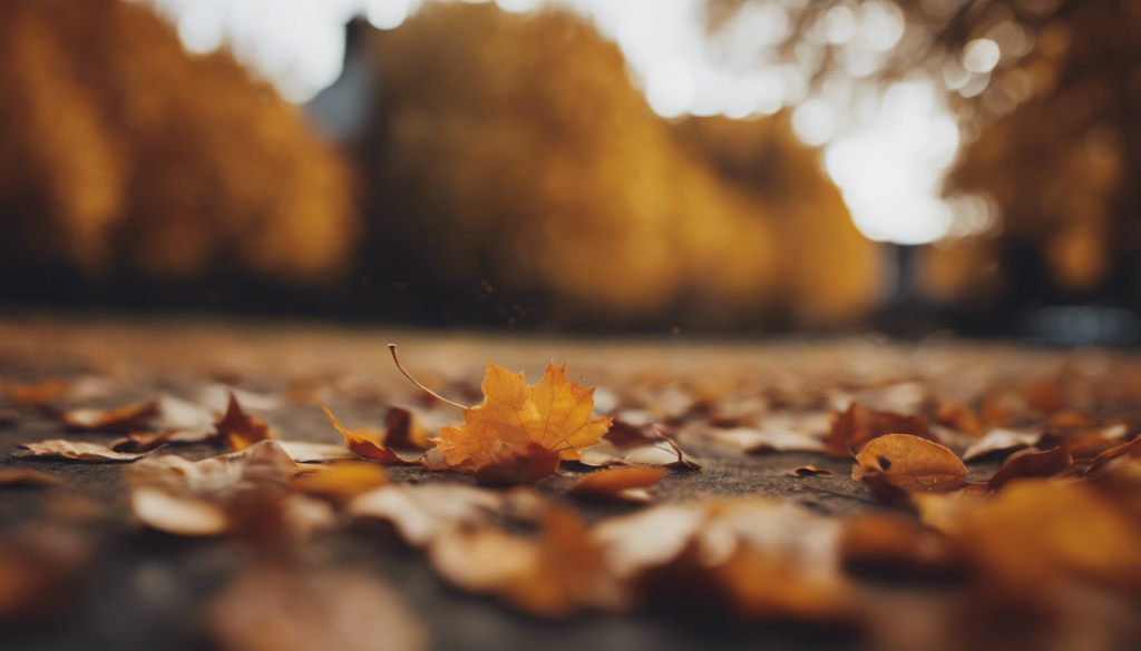 découvrez des poèmes sur l'automne, ses couleurs chatoyantes, ses feuilles qui tombent et son atmosphère mélancolique, à travers des vers empreints de nostalgie et de beauté poétique.